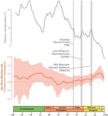 Climatic and biogeographic processes underlying the diversification of the pantropical flowering plant family Annonaceae